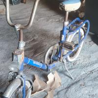 Graziella carnioli/ saltafosso