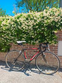 Bici da corsa Merida Theorema 907 - Campagnolo Cho