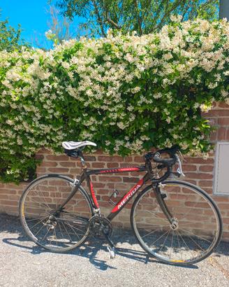 Bici da corsa Merida Theorema 907 - Campagnolo Cho