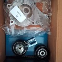 Kit cinghie dentate + Pompa acqua DAYCO KTBWP9590