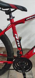 Mountain bike nuovissima
