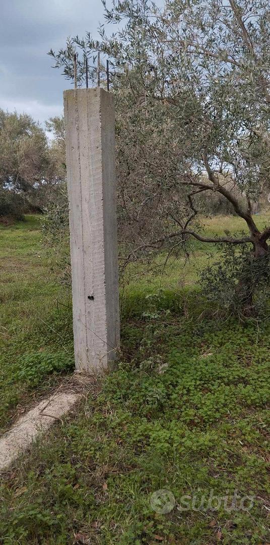 Terreno agricolo pianeggiante carrabile - Vista 2