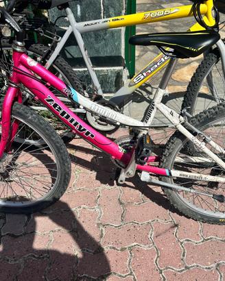 Bici da ragazza