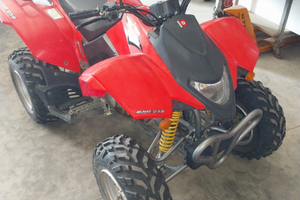 Quad dxr 250 sport max