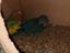 Immagine 2