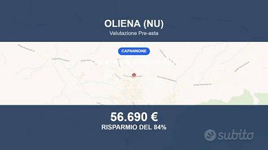 Immobile in asta di 882 m² a Oliena