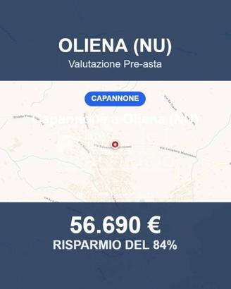 Immobile in asta di 882 m² a Oliena