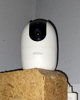 telecamere videosorveglianza