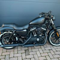 Harley 883 IRON