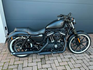 Harley 883 IRON