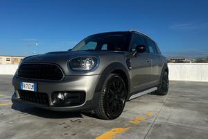 Mini Countryman 150 Cv CooperD 4x4