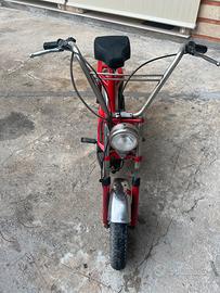 mini califfo