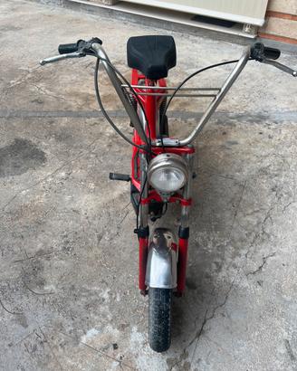 mini califfo