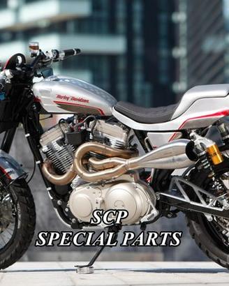 Harley sportster avantreno forcelle ohlins brembo