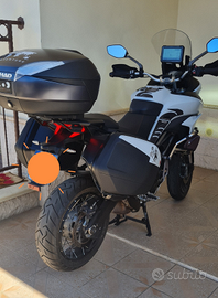 Ducati Multistrada 950