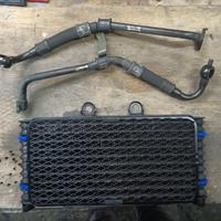 RADIATORE OLIO CON RACORDI PER SUZUKI BANDIT 1200