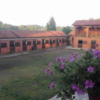 box pensione cavalli