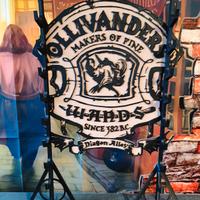 porta bacchette Harry potter