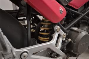 ducati monster