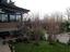 Immagine 12
