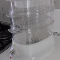 Vaporiera elettrica