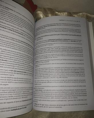 libro ed Simone  per il concorso assist ripam 2026