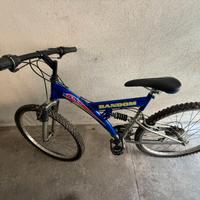 Bicicletta Mountain Bike
