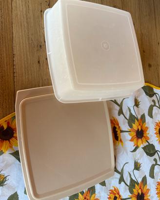 Formaggera tupperware
