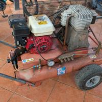 moto compressore e 2 bacchette abbacchiatore 
