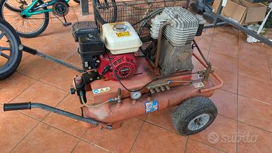 moto compressore e 2 bacchette abbacchiatore 