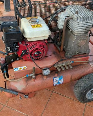moto compressore e 2 bacchette abbacchiatore 