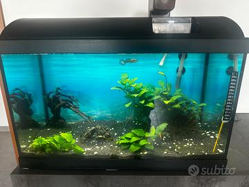 Acquario 60 litri