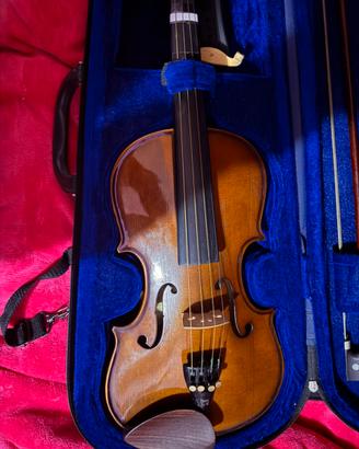 violino