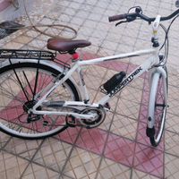 Bicicletta da passeggio