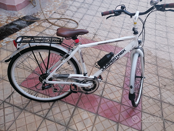 Bicicletta da passeggio