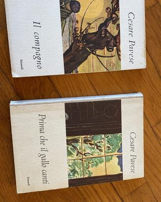 Coppia libri collezine Cesare Pavese