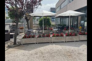 Attività di Bar pizzeria pasticceria panetteria