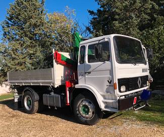 Camion con ribaltabile e gru