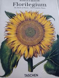 libro di piante florilegium di basilius besler