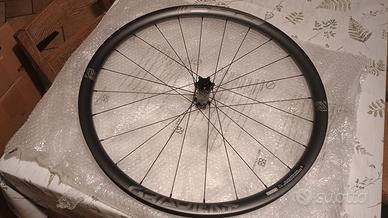 Cerchi MTB Carbonio FSA Gradient 29 Gomme incluse 