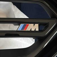 Griglia BMW Serie 1 M135i F70