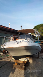 Quicksilver 555 Wa