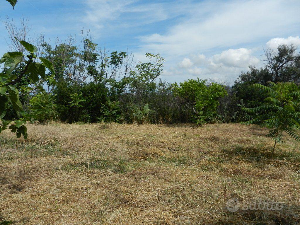 Terreno Residenziale Santa Maria del Cedro - Vista 3