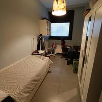 Stanza Singola Milano Bicocca