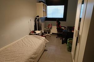 Stanza Singola Milano Bicocca