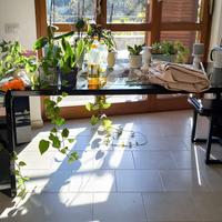 Tavolo da  pranzo con sedie