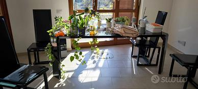 Tavolo da  pranzo con sedie