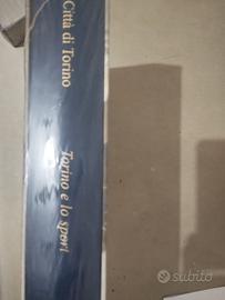 volume Torino e lo sport 