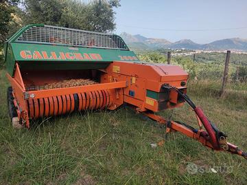 Malegnani 3690