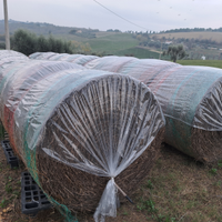 Balle di fieno